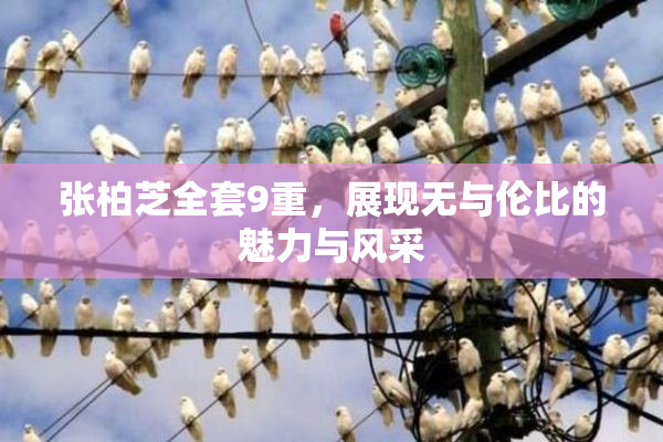 张柏芝全套9重，展现无与伦比的魅力与风采