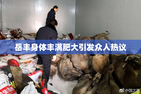 岳丰身体丰满肥大引发众人热议