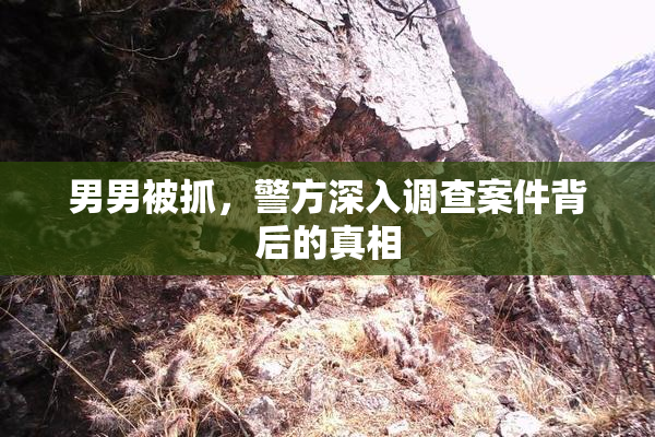 男男被抓，警方深入调查案件背后的真相