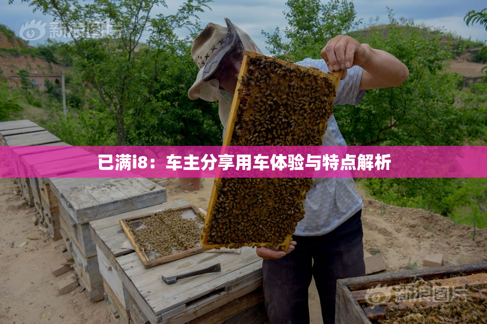 已满i8：车主分享用车体验与特点解析