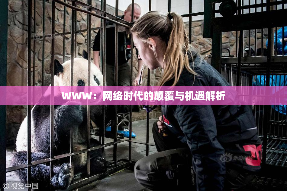 WWW：网络时代的颠覆与机遇解析