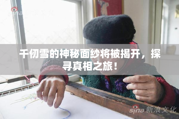 千仞雪的神秘面纱将被揭开，探寻真相之旅！