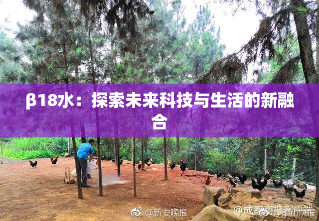 β18水：探索未来科技与生活的新融合