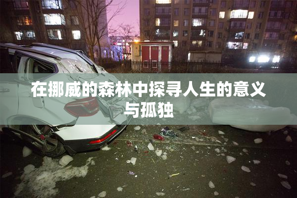 在挪威的森林中探寻人生的意义与孤独