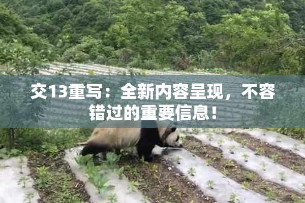交13重写：全新内容呈现，不容错过的重要信息！