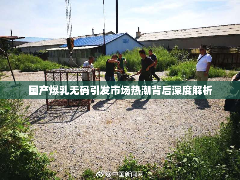 国产爆乳无码引发市场热潮背后深度解析