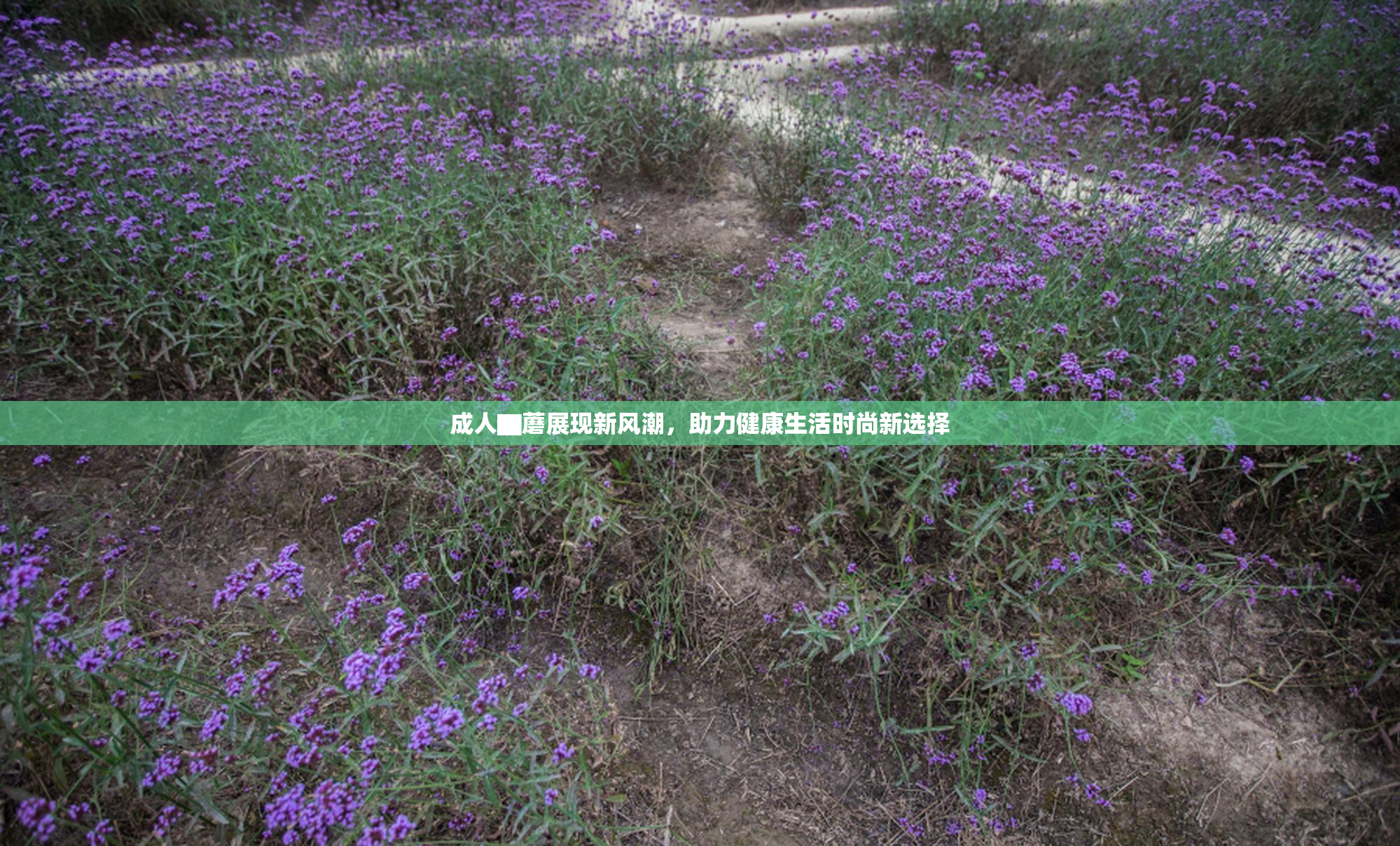 成人▇蘑展现新风潮，助力健康生活时尚新选择