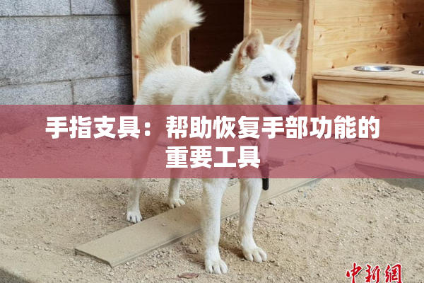 手指支具：帮助恢复手部功能的重要工具
