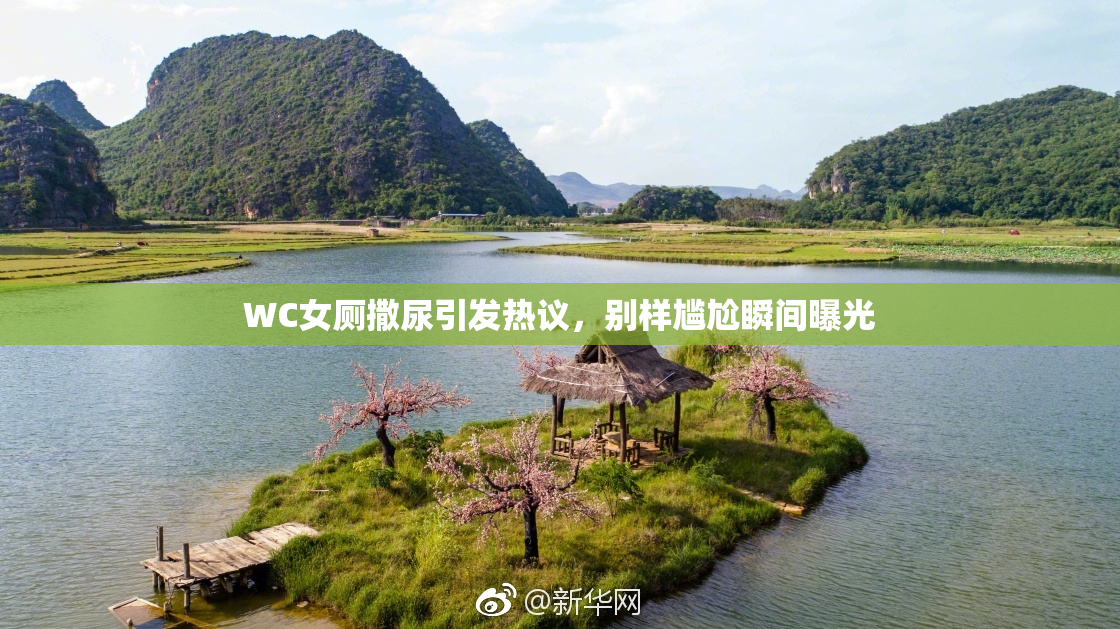 WC女厕撒尿引发热议，别样尴尬瞬间曝光