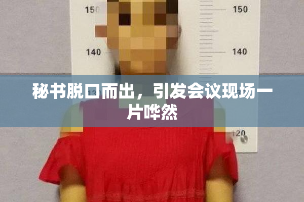 秘书脱口而出，引发会议现场一片哗然