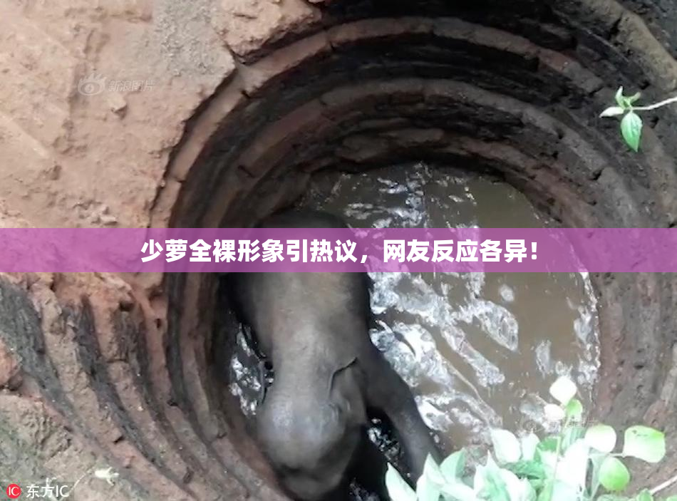 少萝全裸形象引热议，网友反应各异！