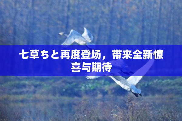 七草ちと再度登场，带来全新惊喜与期待