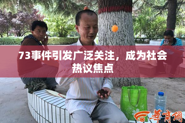 73事件引发广泛关注，成为社会热议焦点