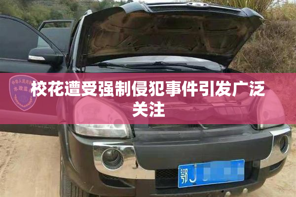 校花遭受强制侵犯事件引发广泛关注