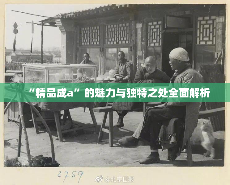 “精品成a”的魅力与独特之处全面解析
