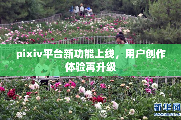 pixiv平台新功能上线，用户创作体验再升级